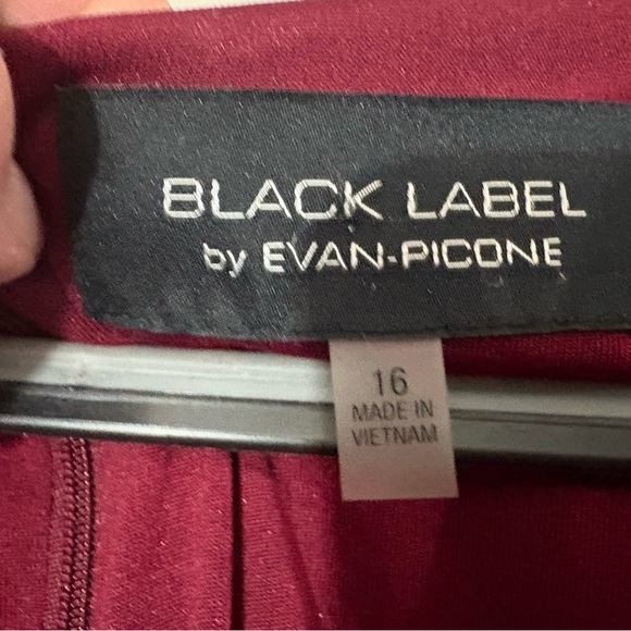 Elegant Velvet Dress in Rich Burgundy​ - Picture 4 of 5